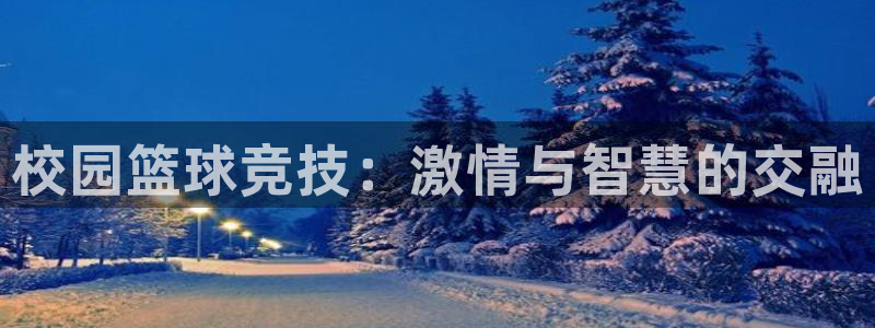 意昂2官方网站：校园篮球竞技：激情与