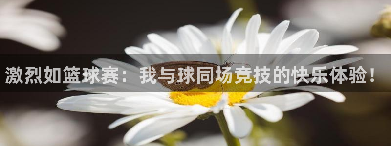 意昂2平台：激烈如篮球赛：我与球同场竞技的快乐体验！