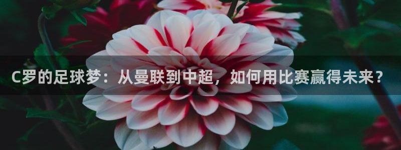  意昂2平台怎么样：C罗的足球梦：从曼联到中超，如何用比赛赢得