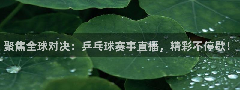 意昂2体育在线平台登录：聚焦全球对决