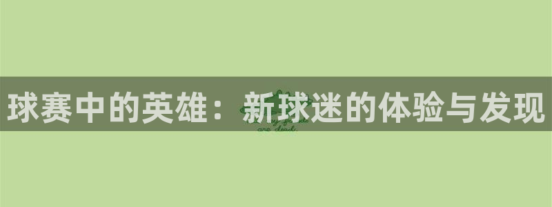  意昂2平台怎么样：球赛中的英雄：新球迷的体验与发现