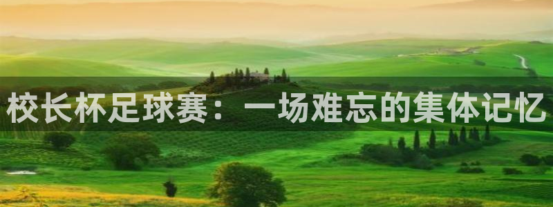 意昂2体育在线平台登录：校长杯足球赛