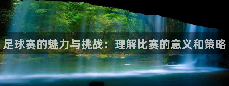 意昂2官网：足球赛的魅力与挑战：理解