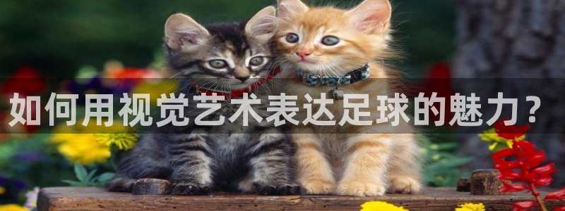 意昂2平台注册：如何用视觉艺术表达足