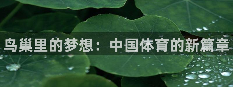 意昂2平台：鸟巢里的梦想：中国体育的