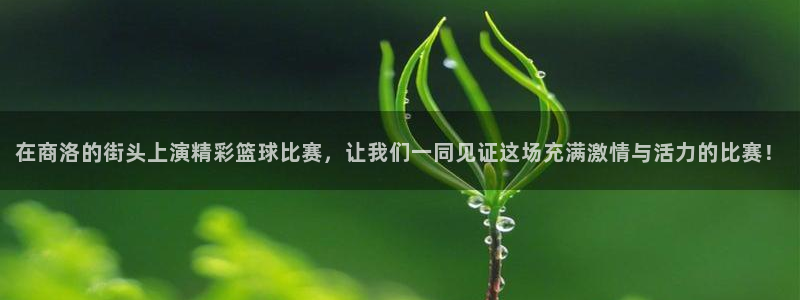 意昂2代理注册：在商洛的街头上演精彩