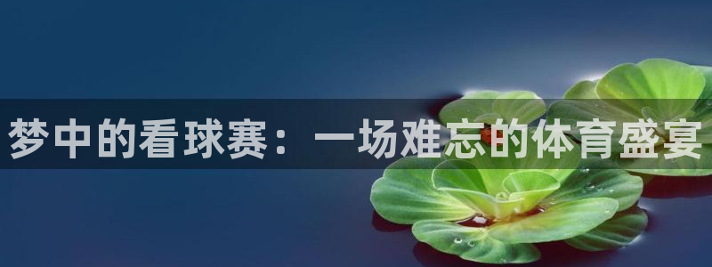 意昂2娱乐直属：梦中的看球赛：一场难