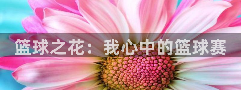 意昂2体育官方网站：篮球之花：我心中