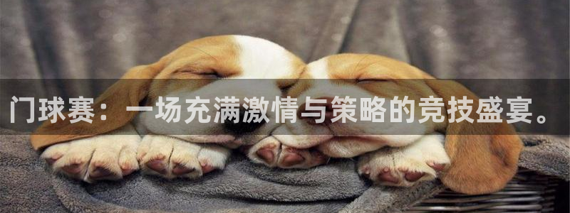 意昂2官方网站：门球赛：一场充满激情