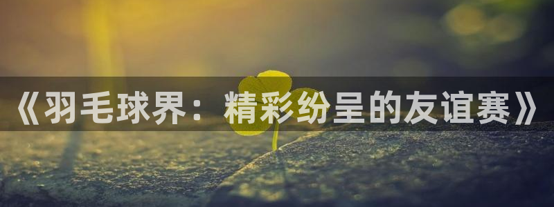 意昂2账号登录入口：《羽毛球界：精彩