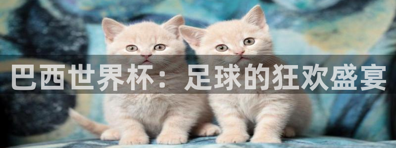 意昂2平台登录：巴西世界杯：足球的狂