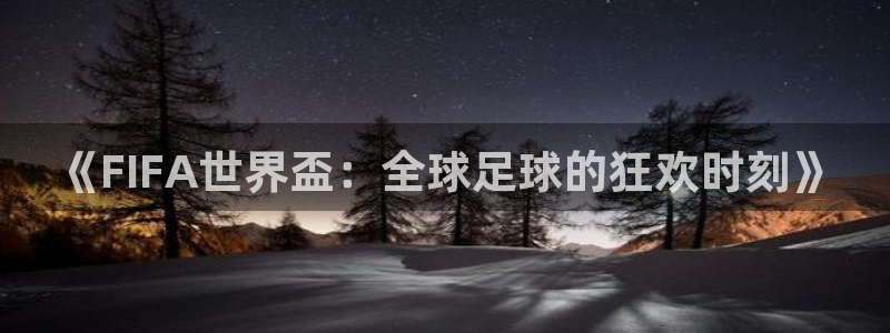 意昂2登录注册：《FIFA世界盃：全