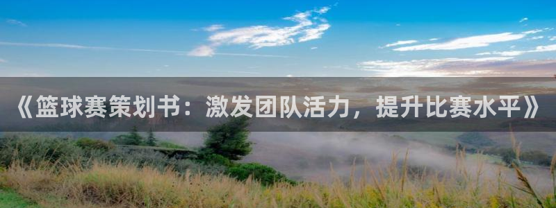 意昂2平台登录：《篮球赛策划书：激发