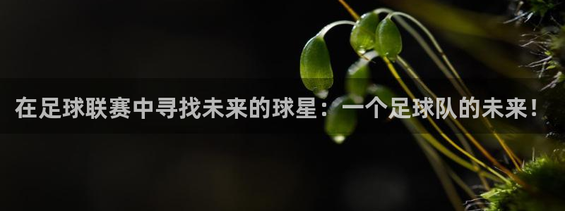 意昂2如何注册开户：在足球联赛中寻找