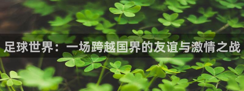意昂2平台登录：足球世界：一场跨越国