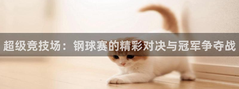 意昂2账号登录入口：超级竞技场：钢球赛的精彩对决与冠军争夺战