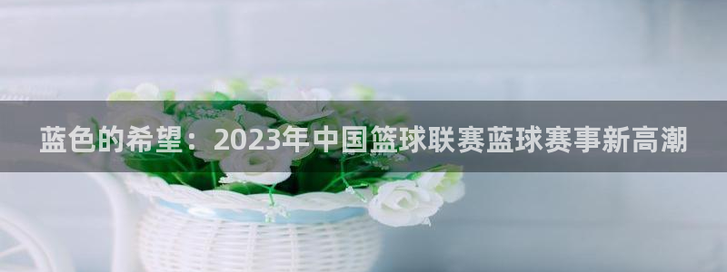  意昂2体育：蓝色的希望：2023年中国篮球联赛蓝球赛事新高潮