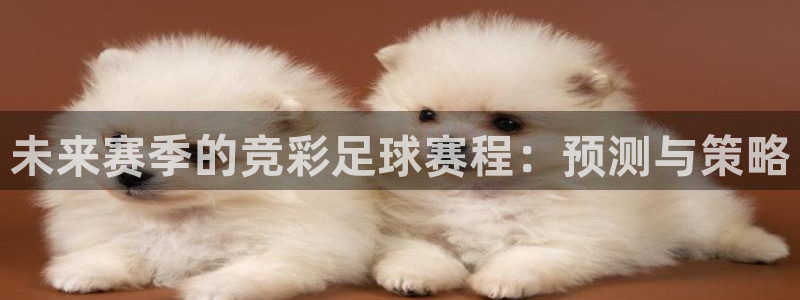 意昂2如何注册开户：未来赛季的竞彩足