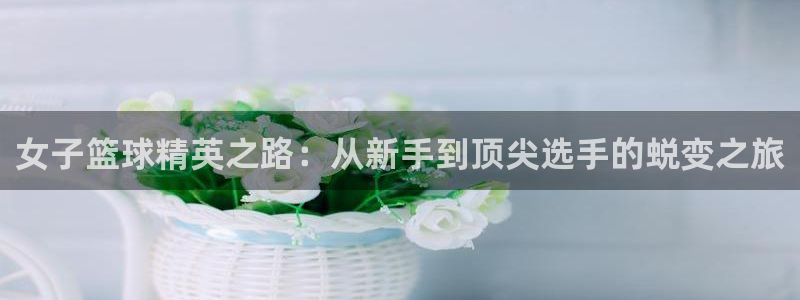 意昂2登录注册：女子篮球精英之路：从