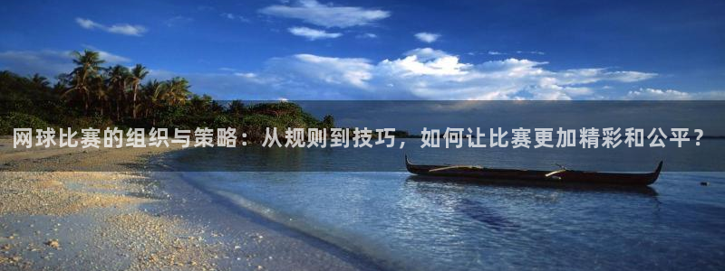 意昂2平台股东：网球比赛的组织与策略：从规则到技巧，如何让比