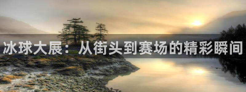意昂2体育平台：冰球大展：从街头到赛场的精彩瞬间