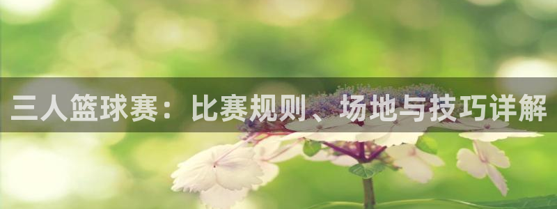 意昂2官方网站：三人篮球赛：比赛规则、场地与技巧详解
