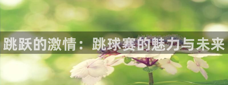 意昂2平台股东：跳跃的激情：跳球赛的魅力与未来