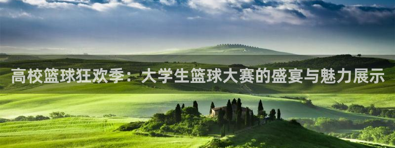  意昂2体育：高校篮球狂欢季：大学生篮球大赛的盛宴与魅力展示