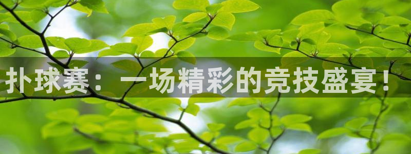  意昂2平台注册：扑球赛：一场精彩的竞技盛宴！