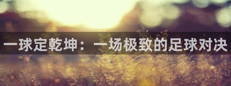  意昂2账号登录入口：一球定乾坤：一场极致的足球对决