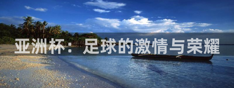  意昂2登录注册：亚洲杯：足球的激情与荣耀