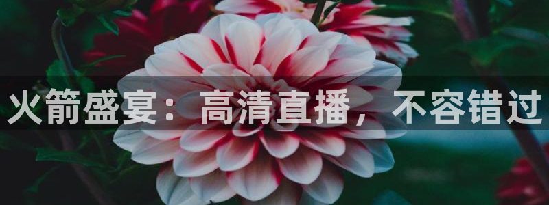 鲸鱼体育免费版：火箭盛宴：高清直播，不容错过