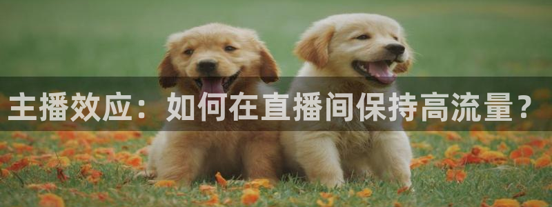 鲸鱼体育直播在线观看高清：主播效应：如何在直播间保持高流量？