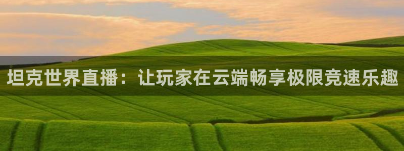 鲸鱼体育直播在线观看高清：坦克世界直播：让玩家在云端畅享极限竞速乐趣