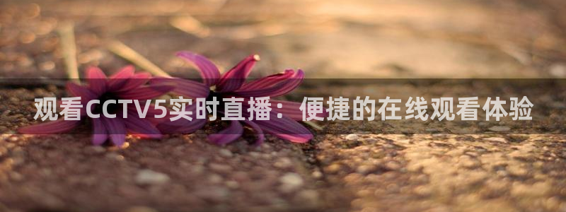 鲸鱼直播足球：观看CCTV5实时直播：便捷的在线观看体验