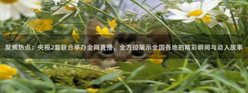 鲸鱼体育直播免费：聚焦热点：央视2套联合举办全网直播，全方位展示全国各地的精彩瞬间与动人故事