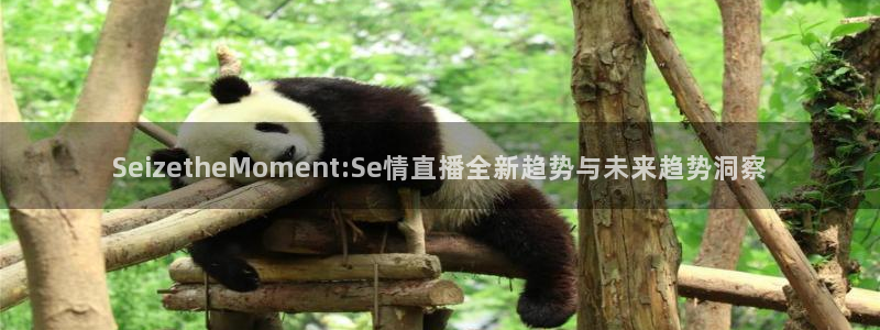 鲸鱼体育免费直播nba：SeizetheMoment:Se情直播全新趋势与未来趋势洞察
