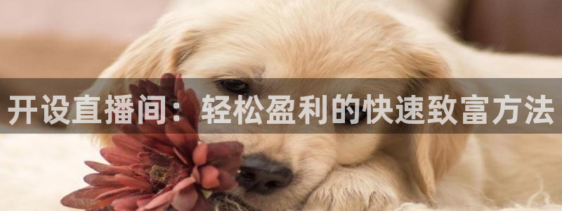 鲸鱼体育免费观看官网：开设直播间：轻松盈利的快速致富方法