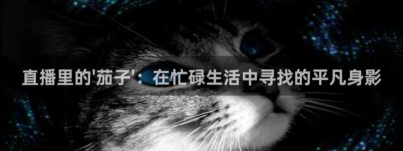 鲸鱼足球体育直播：直播里的\'茄子\'：在忙碌生活中寻找的平凡身影