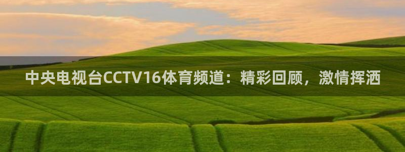 cc35tv鲸鱼体育：中央电视台CCTV16体育频道：精彩回顾，激情挥洒