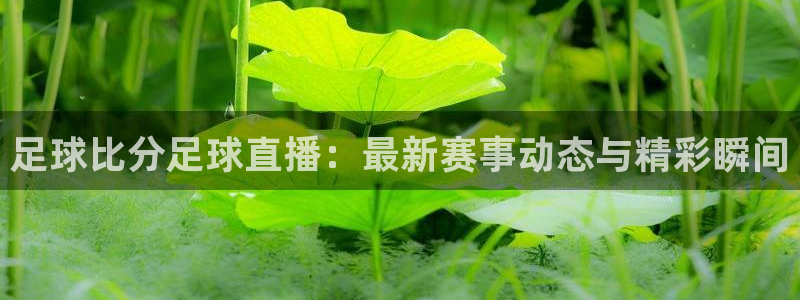 鲸鱼体育tv.点我直达.org：足球比分足球直播：最新赛事动态与精彩瞬间