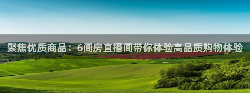 鲸鱼体育直播
