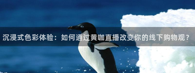 鲸鱼nba直播在线观看：沉浸式色彩体验：如何通过黄咖直播改变你的线下购物观？