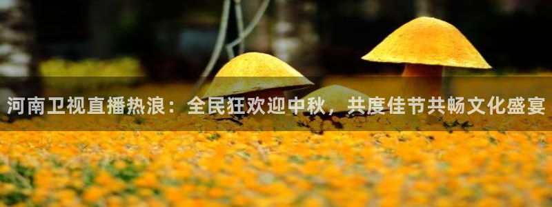 鲸鱼体育高清直播：河南卫视直播热浪：全民狂欢迎中秋，共度佳节共畅文化盛宴