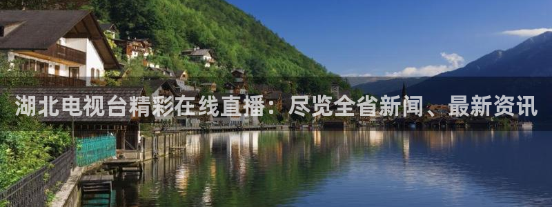 蓝鲸鱼直播：湖北电视台精彩在线直播：尽览全省新闻、最新资讯